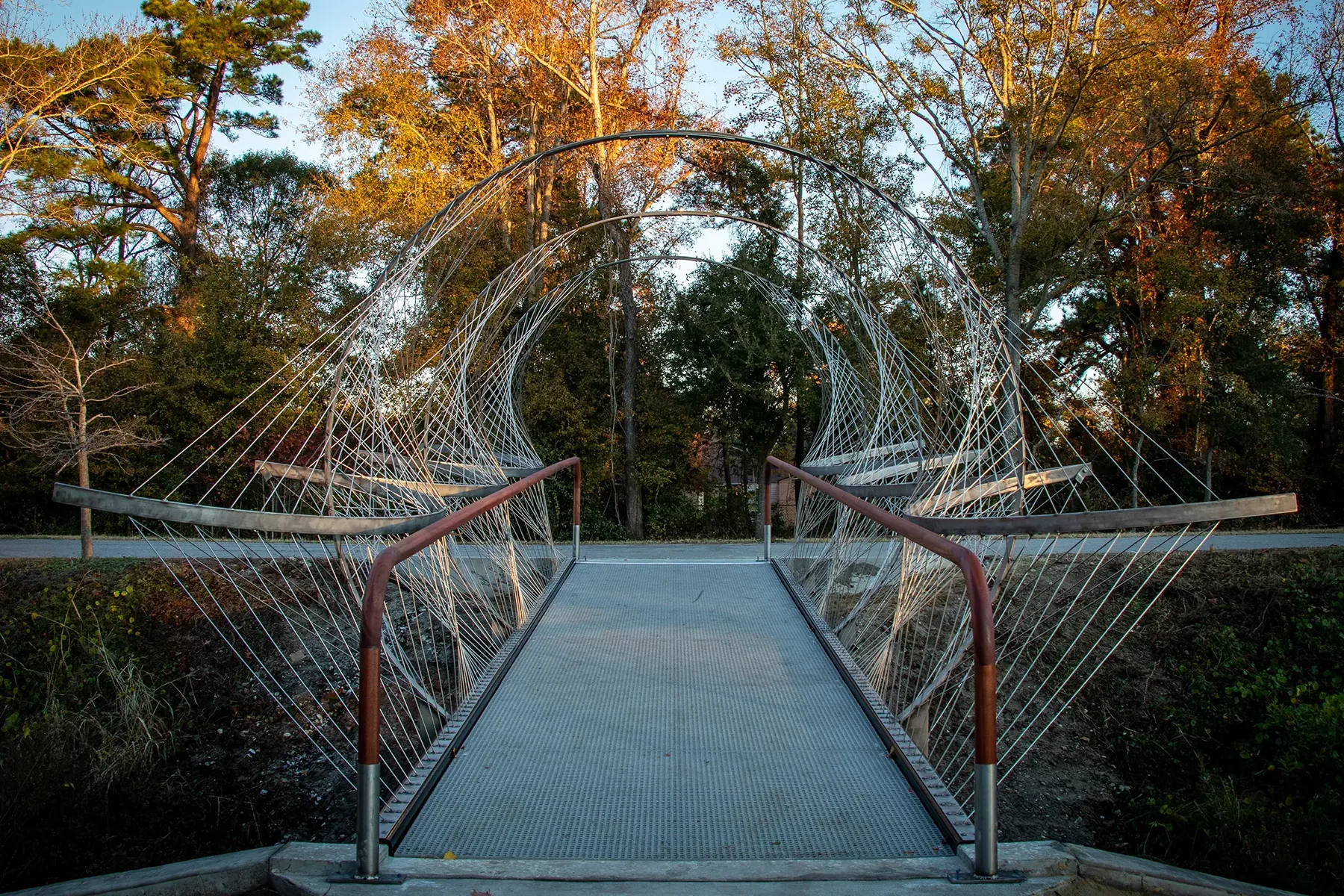 Forest Park Footbridge