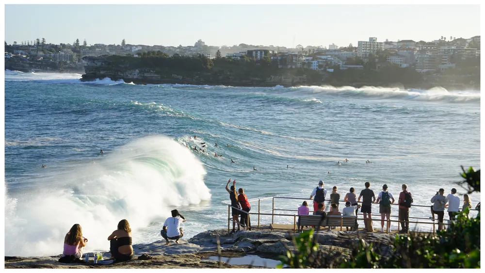 Bondi Arvo